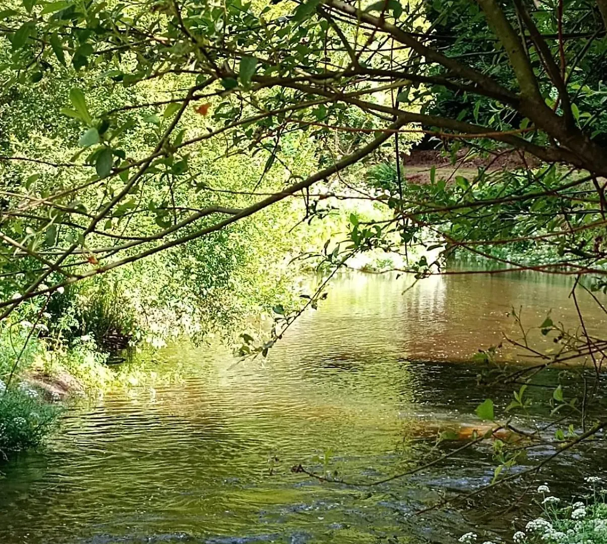Holiday home Gite Du Moulin Pluvigner